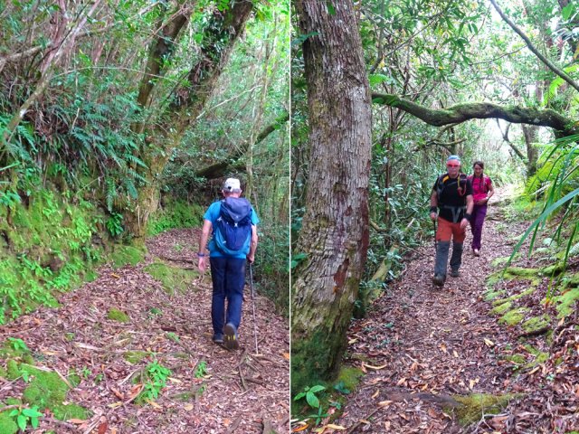 Le sentier de la boucle de l’Éden est facile à suivre
