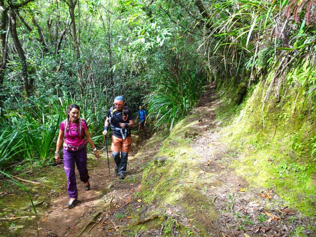 Ne pas manquer la bifurcation vers le sud
