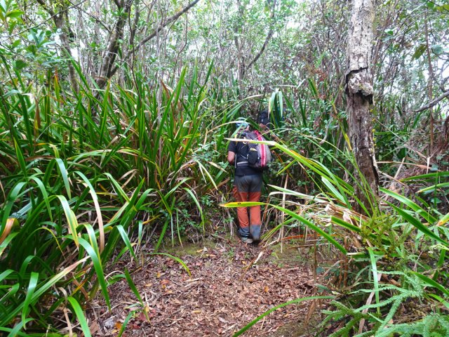 Quitter le sentier pour emprunter l'étroit passage vers les cascades