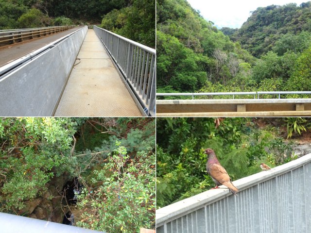 Le pont enjambant la Ravine du Ruisseau, départ de la boucle