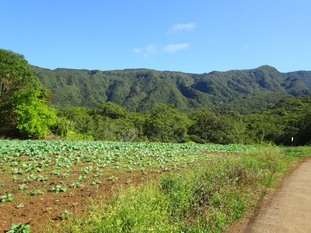Le dernier km longe les cultures avant de se rapprocher du sentier du Malabar Mort