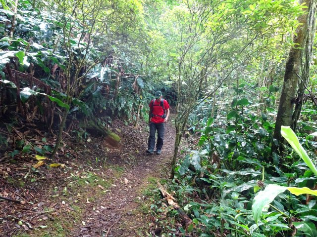 Le sentier de Découverte est toujours aussi bien entretenu et fréquenté