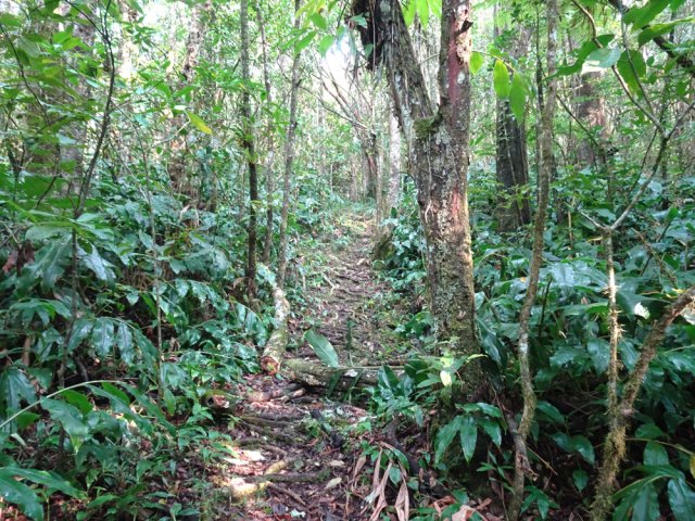 Espérons que le nettoyage fera longuement son effet