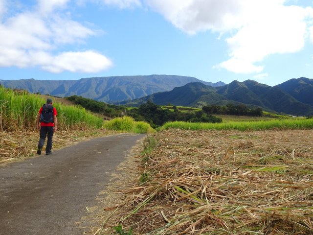 Superbes panoramas lorsque la canne est coupée
