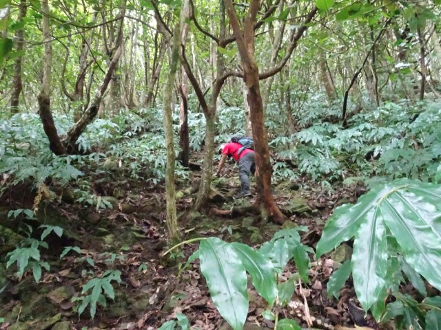 Les mains sont parfois utiles dans les pentes trop abruptes