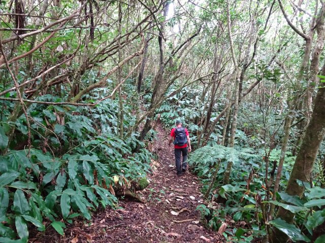 Sentier tout aussi bien nettoyé pour descendre vers la Pièce Jeanne