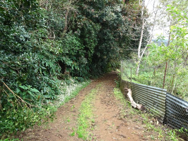 Fin des sentiers pour rejoindre plus bas la route de Pièce Jeanne