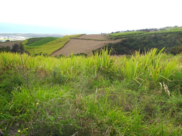 Depuis la route, on bénéficie de beaux panoramas sur l'océan