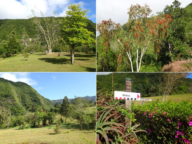 Quitter la route pour traverser l'aire des Platanes