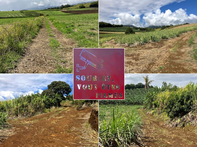 Nombreux embranchements de chemins dans les champs