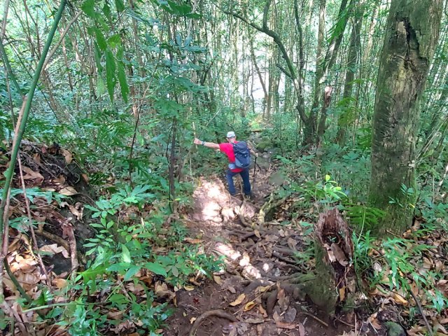 Nouvelle descente, courte et abrupte, vers le Bassin Longor