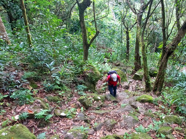 La montée est courte mais assez raide