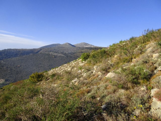 Les flancs des Blaquières et vue dur la Pic de Courmettes