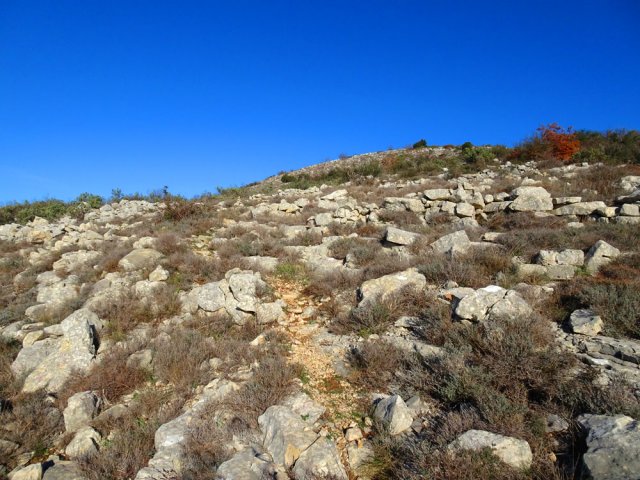 Une idée du sol à fouler durant plus d'une heure