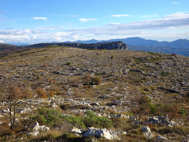 Rien ou presque ne peut pousser dans ces déserts de pierre