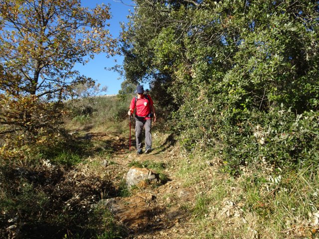 La jonction entre les baous est de tout repos