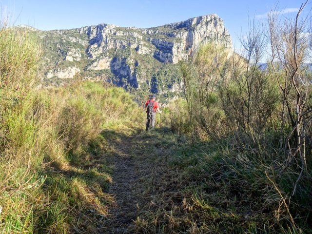 Large sentier bien entretenu
