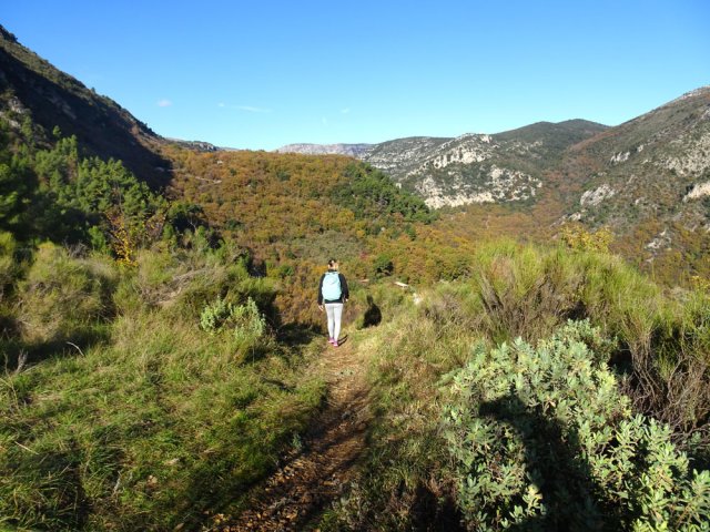 Quelques portions planes entre deux plongées