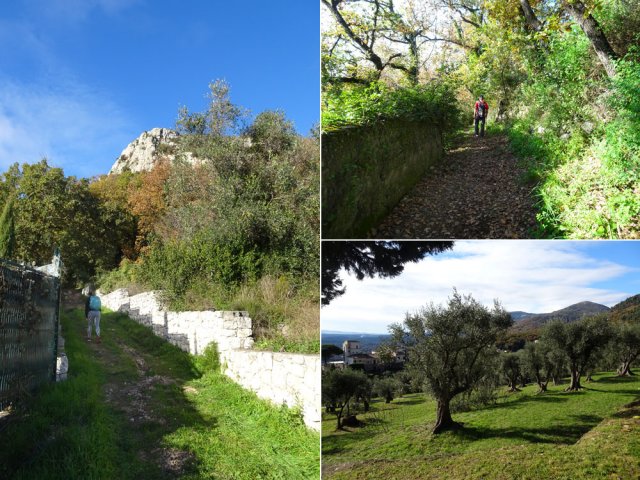 Le long sentier se termine au plus près du parking sous les oliviers