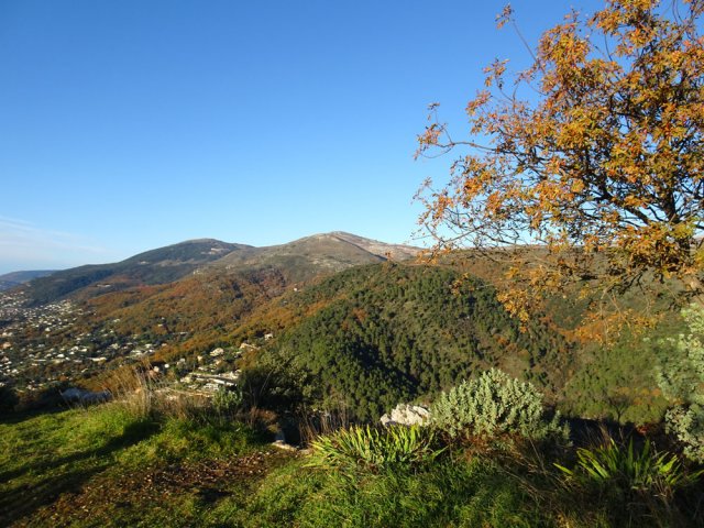 Panorama vers le Pic de Courmettes et le Puy de Tourette
