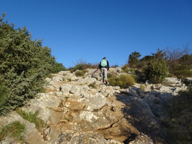 Partir plein nord vers les Blaquières sur un sol très calcaire