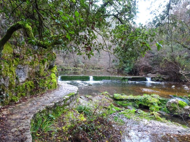 Des écluses créent de grands bassins d'eau claire