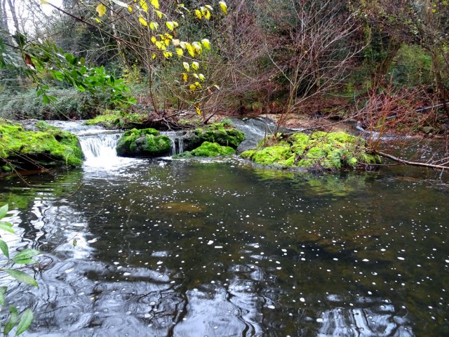 Nombreux bassins et petites chutes tout au long de la montée