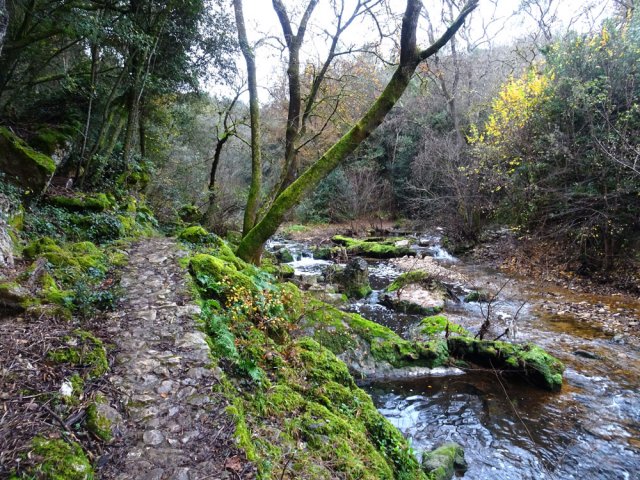 On marche au plus près de l'eau
