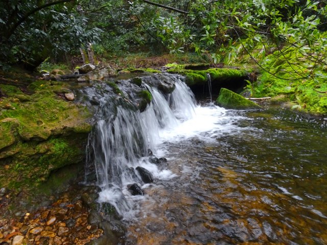 D'autres chutes, bassins et concrétions