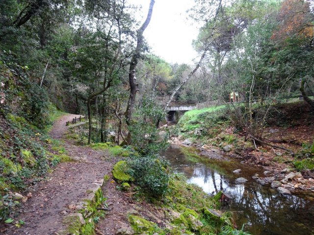 Arrivée au pont et au parking de Tamarin