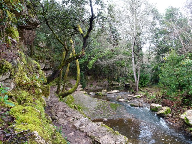 Passage étroit entre falaise et torrent