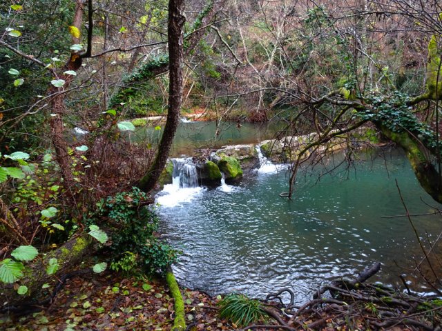 On cesse vite de compter les bassins