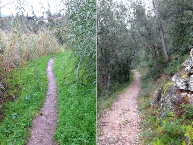 Le sentier de descente sur les rives du petit fleuve