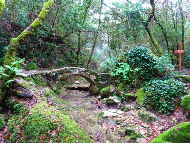 La passerelle sur le Bruguet, à sec le plus souvent