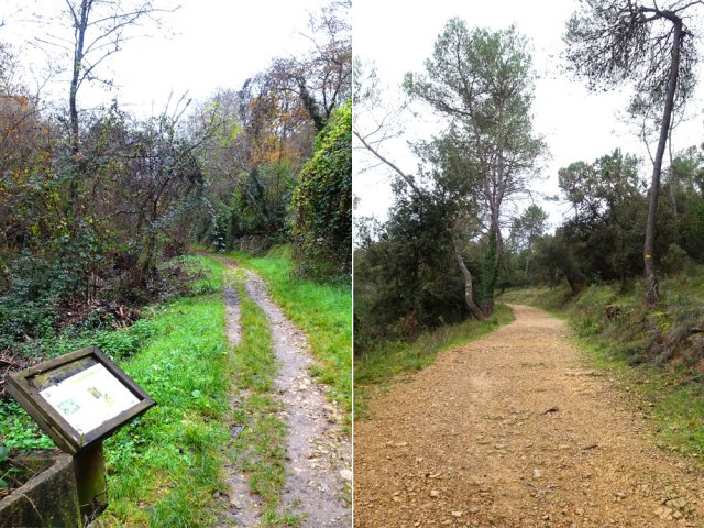 Suivre chemin ou piste pour s'éloigner et poursuivre vers Valbonne