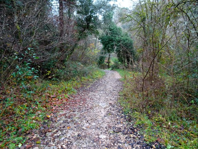 La fin du large sentier revenant à la Brague