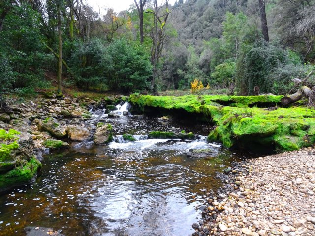 On rencontrera des concrétions calcaires jusqu'à Valbonne