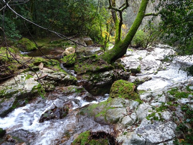 Nouvelles plaques calcaires glissantes