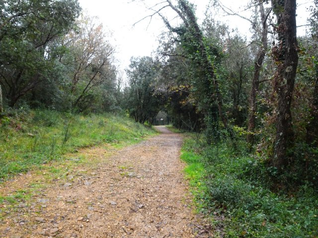 Emprunter la piste de la Béguine