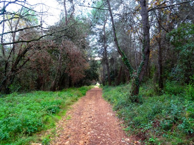 La fin de la piste de la Béguine en descente