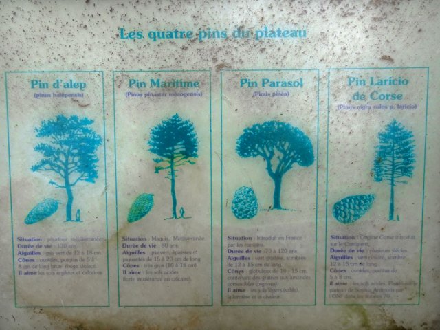 Quelques panneaux vieillissants bordent le sentier