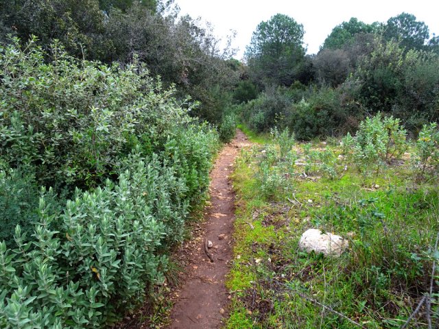 Nouveau sentier pour traverser le Parc Départemental de la Brague