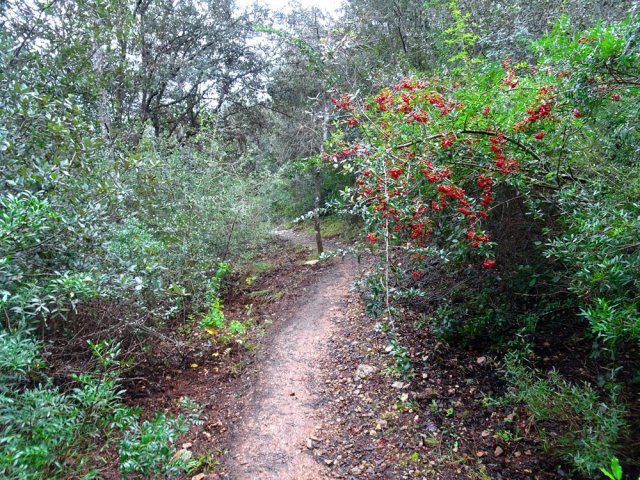 Le sentier de contournement des Soulières