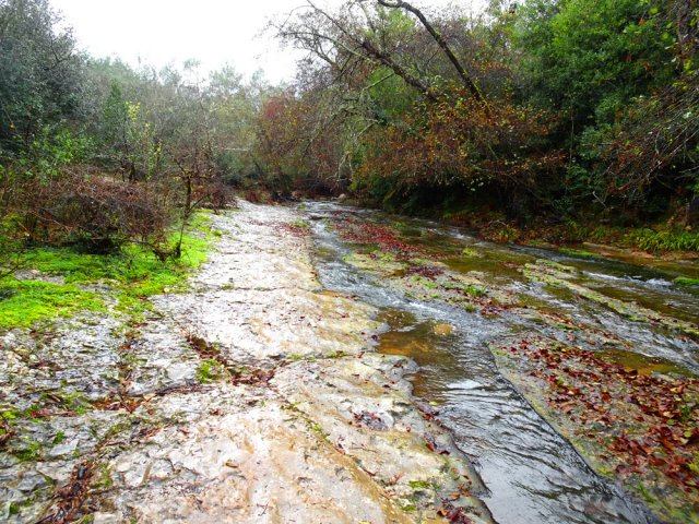 Le lit du ruisseau emprunte par endroits de larges plaques calcaires