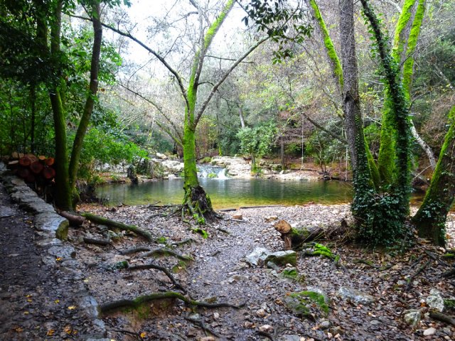 Il y a même de l'ombre en cas de forte chaleur