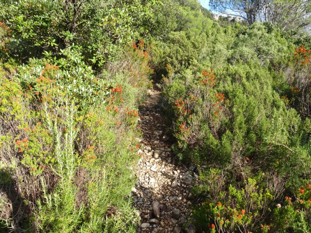 Début de la montée facile en direction de la Montagne du Liausson
