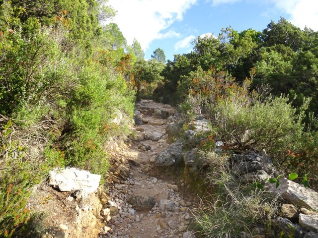 La pente s'intensifie et devient plus rocailleuse