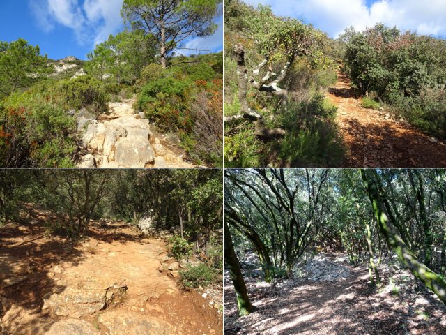 On emprunte tous les types de sentiers pour atteindre la montagne