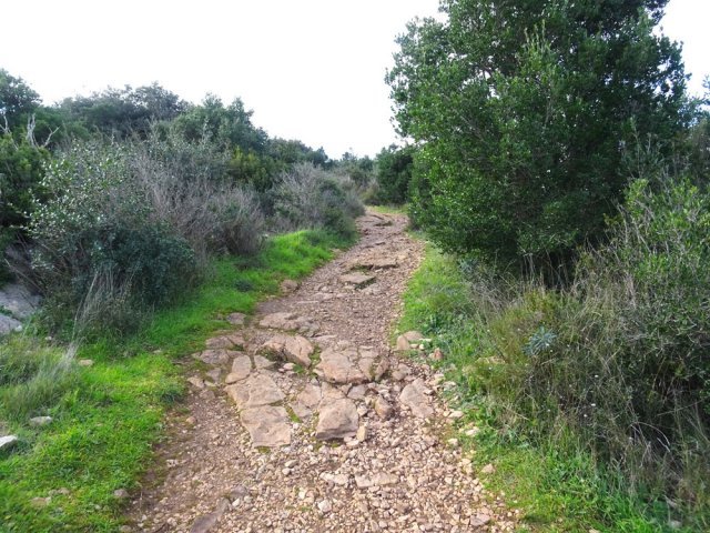 Le sentier en ligne de crête est une autoroute