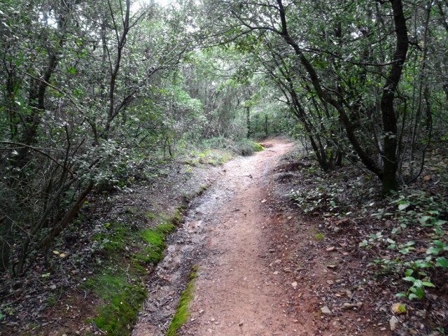 Une portion ombragée plus agréable le long du Ruisseau des Rats